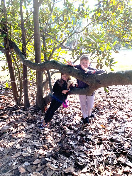 Alec and Maggie standing by large, low-hanging branch