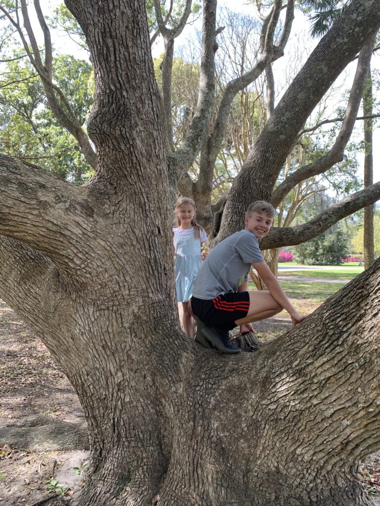 two kids in a large low tree